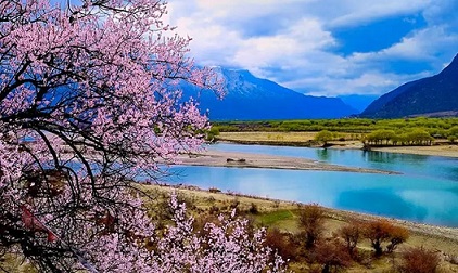 林芝旅游