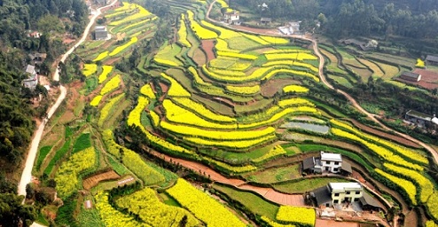 青神旅游