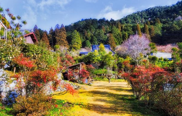 药王谷景区