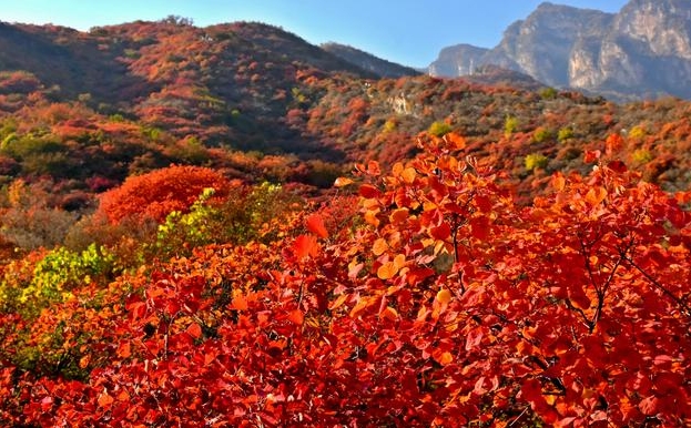 药王谷景区