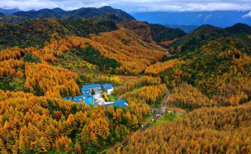 曾家山景区