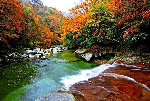 米仓山大峡谷门票