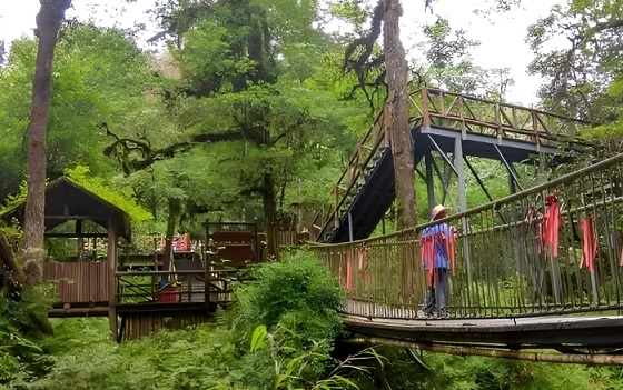 龙苍沟叠翠溪景区