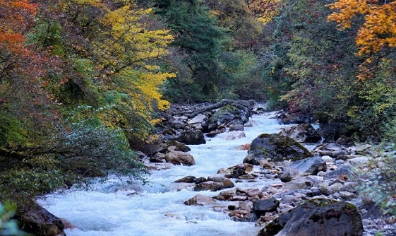 东拉山大峡谷景区