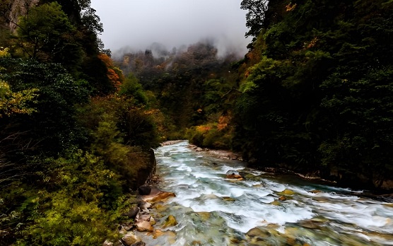 东拉山大峡谷门票