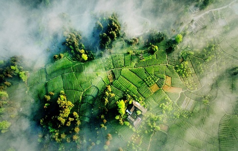 蒙顶山景区