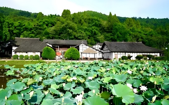 张澜故里景区