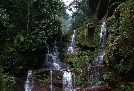 黄荆老林景区