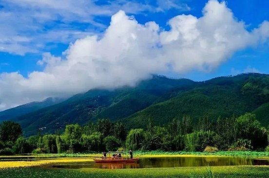 泸山门票