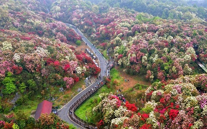 4月适合去哪里旅游