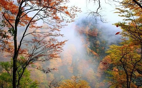 四川光雾山在哪里