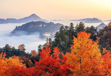 四川光雾山旅游攻略