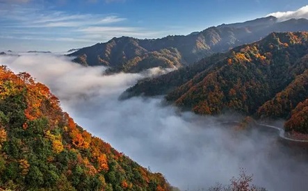 光雾山在四川什么地方