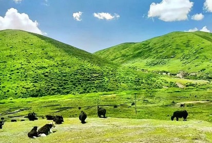 四川若尔盖草原旅游攻略