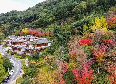 四川攀枝花旅游最值得去景点前十