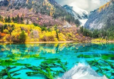 九寨沟国家级自然保护区
