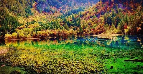 成都离九寨沟有多远
