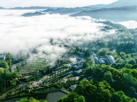 成都到碧峰峡旅游攻略