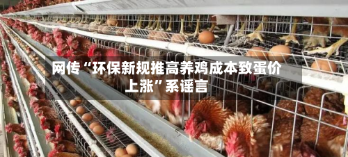 网传“环保新规推高养鸡成本致蛋价上涨”系谣言-第3张图片