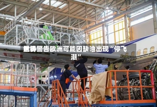 世界航协警告欧洲可能因缺油出现“停飞潮	”-第2张图片