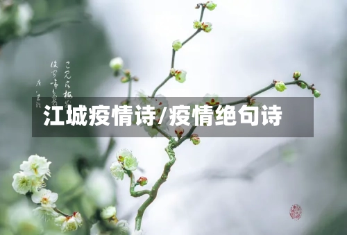 江城疫情诗/疫情绝句诗