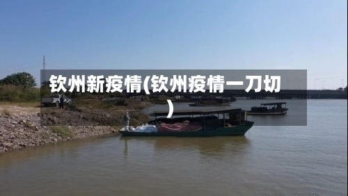 钦州新疫情(钦州疫情一刀切)-第2张图片