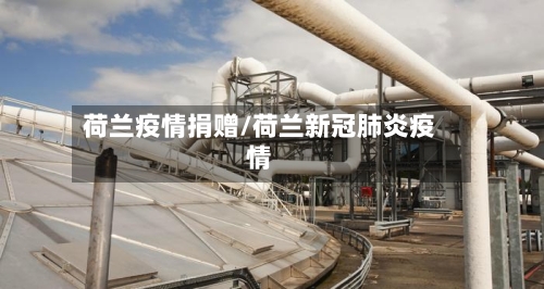 荷兰疫情捐赠/荷兰新冠肺炎疫情-第3张图片