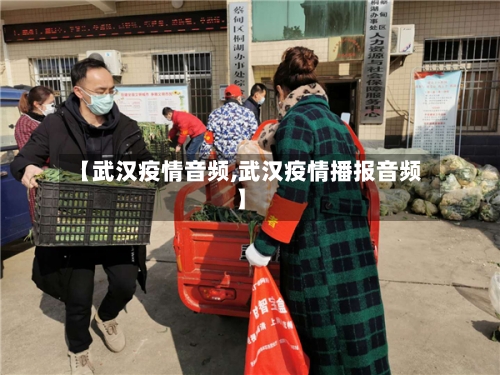 【武汉疫情音频,武汉疫情播报音频】