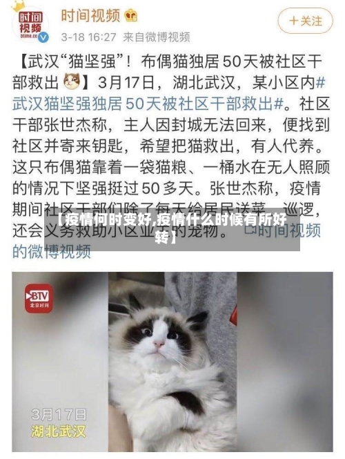 【疫情何时变好,疫情什么时候有所好转】-第2张图片