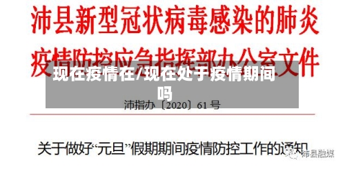 现在疫情在/现在处于疫情期间吗-第1张图片