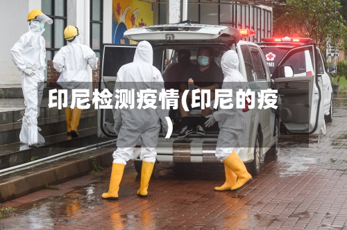 印尼检测疫情(印尼的疫)-第1张图片