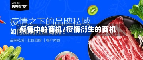 疫情中的商机/疫情衍生的商机-第1张图片