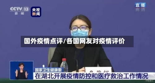 国外疫情点评/各国网友对疫情评价-第1张图片