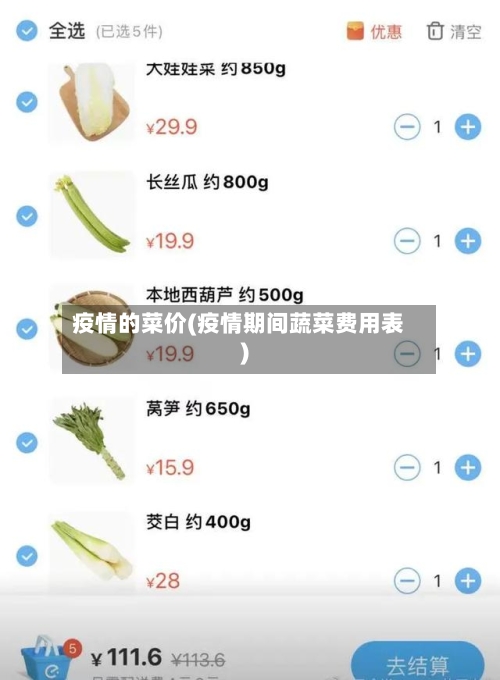 疫情的菜价(疫情期间蔬菜费用表)-第1张图片