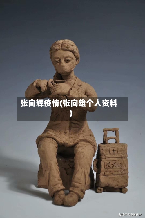 张向辉疫情(张向雄个人资料)-第1张图片