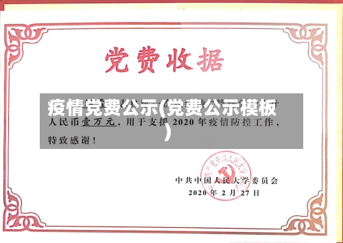 疫情党费公示(党费公示模板)-第1张图片
