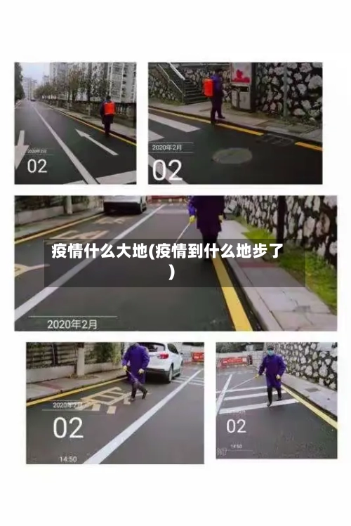疫情什么大地(疫情到什么地步了)-第1张图片