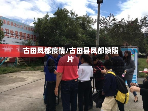 古田凤都疫情/古田县凤都镇照片-第2张图片