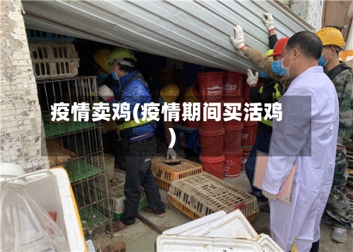 疫情卖鸡(疫情期间买活鸡)-第1张图片