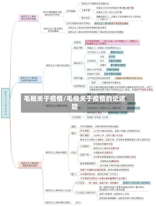 毛概关于疫情/毛概关于疫情的论述题-第1张图片