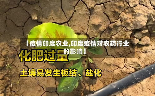 【疫情印度农业,印度疫情对农药行业的影响】-第1张图片