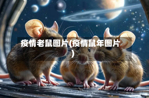 疫情老鼠图片(疫情鼠年图片)-第1张图片