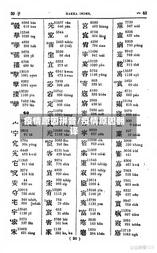 疫情原因拼音/疫情原因翻译-第1张图片