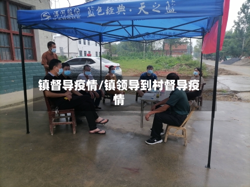 镇督导疫情/镇领导到村督导疫情-第2张图片