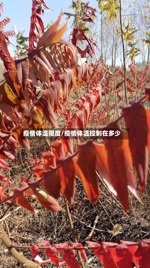 疫情体温限度/疫情体温控制在多少-第1张图片