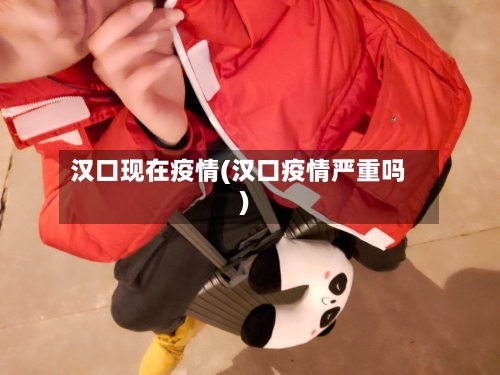 汉口现在疫情(汉口疫情严重吗)-第3张图片