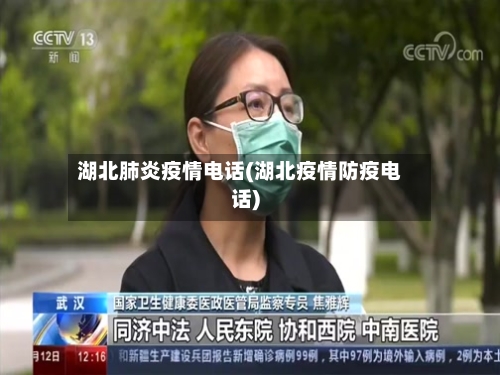 湖北肺炎疫情电话(湖北疫情防疫电话)-第2张图片