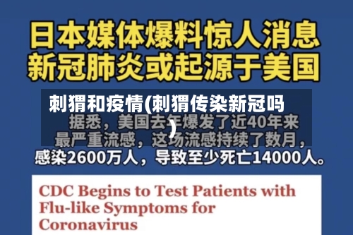 刺猬和疫情(刺猬传染新冠吗)-第1张图片