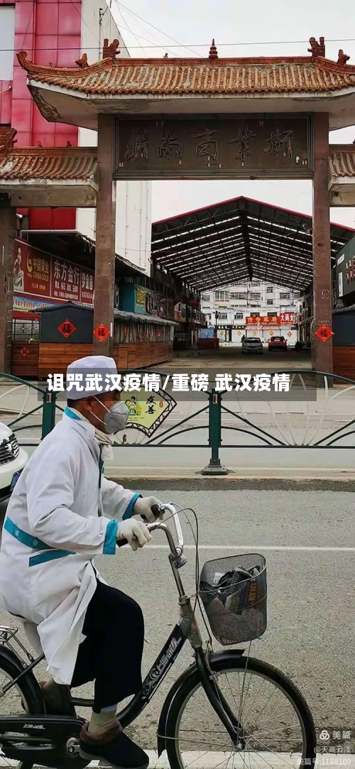 诅咒武汉疫情/重磅 武汉疫情-第1张图片