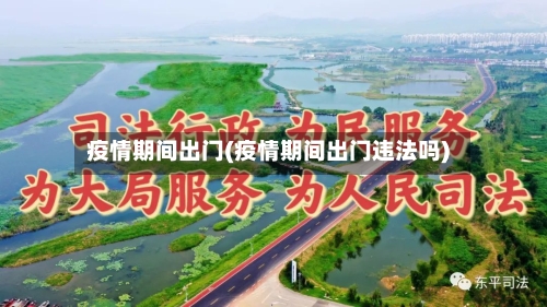 疫情期间出门(疫情期间出门违法吗)-第1张图片